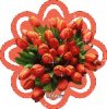 flower019.jpg