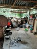 IMG_5954.jpeg