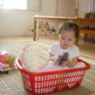 lolem_0240