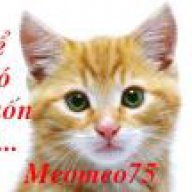 meomeo75