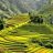 Mù Cang Chải